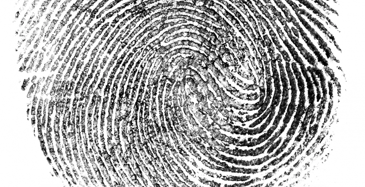 Identities discovered. Fingerprint. Криминалистика gif. Fingerprints браузера схема. Fingerprints texture.
